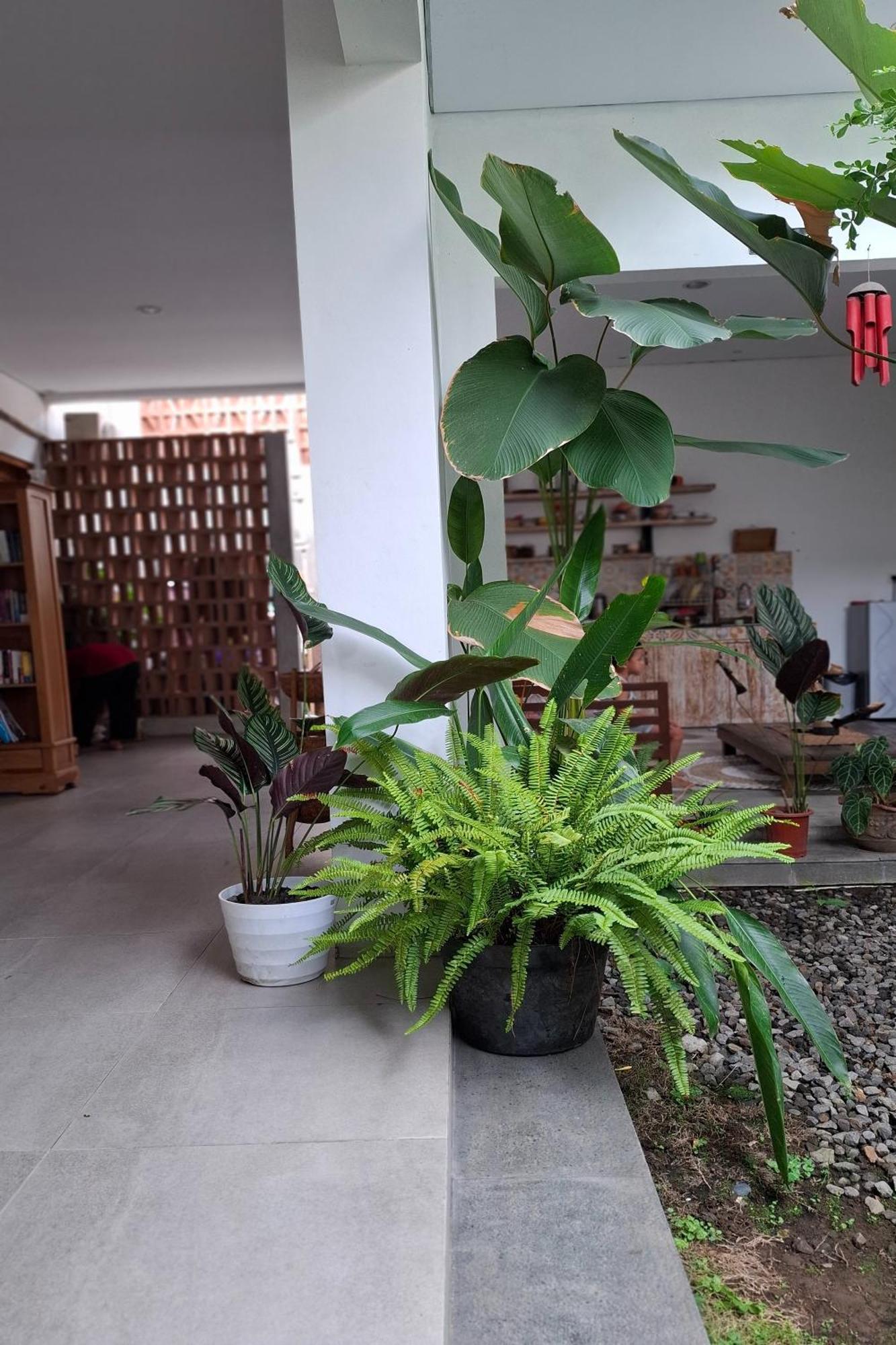 Bring In House Yogyakarta Apartment Exterior photo